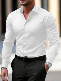 1 piece of business casual long sleeved shirt, spring and autumn style formal shirt, slightly elastic and iron free